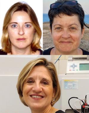 Nathalie Delaunay, Audrey Combès, and Valérie Pichon © Images courtesy of authors.