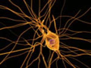 Introduction to SPME for In Vivo Analysis