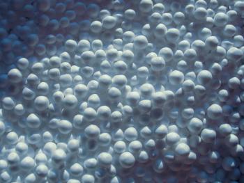 zoomed white expanded polystyrene pellets for production plastic bags | Image Credit: © Maryna - stock.adobe.com