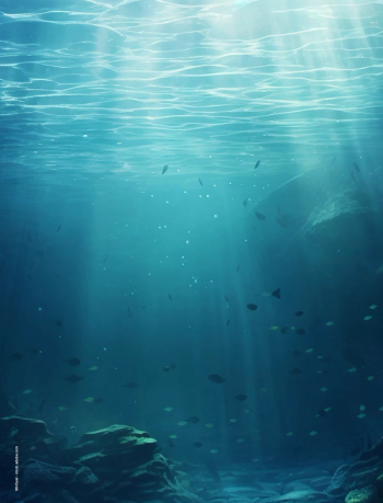 Image Credit: © Michael - stock.adobe.com