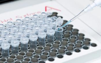 Ressearcher mix DNA, polymerase and oligonucleotides in PCR tubes on the thermal cycler | Image Credit: © HYUNGKEUN - stock.adobe.com