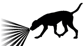 dog sniffer.png