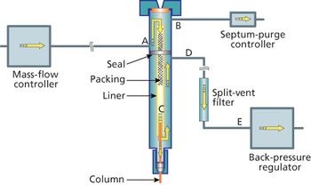 Figure 1 GC Connections.jpg