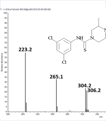 Introduction to LC-MS Data Interpretation