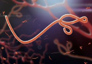 LC–MS/MS Reveals Metabolic Shifts After Ebola