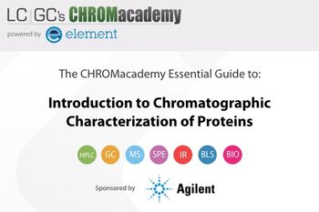 Introduction to Chromatographic Characterization of Proteins