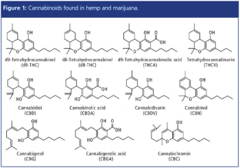 figure 1 L1534846827347.png