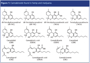 figure 1 L1534846827347.png