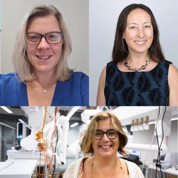 © Jacqueline Hamilton, Diane Turner, and Caroline Gauchotte-Lindsay