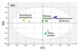 Authentication of Panax Ginseng‑Based Herbal Teas Using “Chemical Markers” Strategy