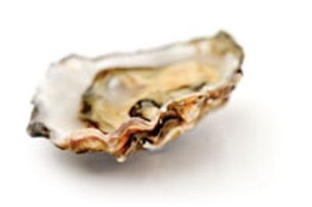 oyster-750356-1408612807545.jpg