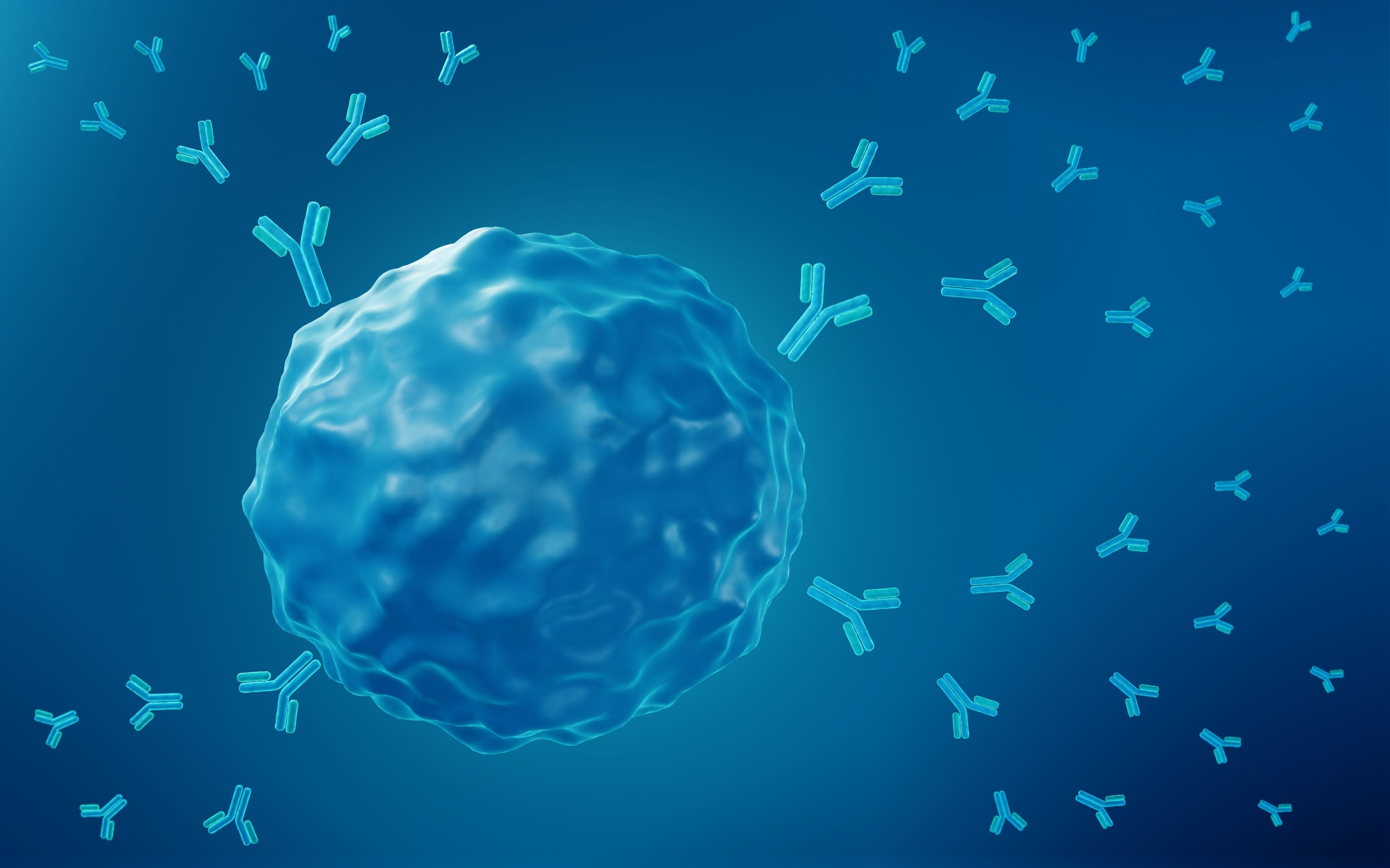 B cell releasing antibodies | Image Credit: © Artur - stock.adobe.com