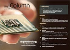 The Column-11-19-2010