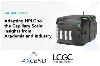 Adapting HPLC to the Capillary Scale: Insights from Academia and Industry