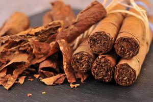 GC-IMS Detects Early Mold Warning Signs in Cigar Tobacco