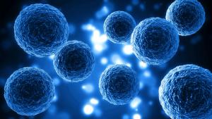 cells against a dark blue background