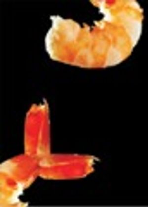 A Simple and Solvent-free Method for Determining Tetracyclines in Prawns