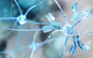 Analysis of 12 Regulated Mycotoxins in 8 Food Matrices by Single Immunoaffinity Cleanup and Isotope Dilution LC–MS/MS