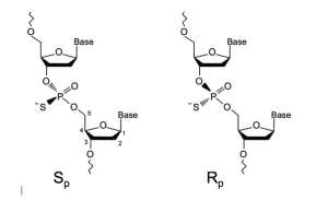 Challenges and Solutions in Oligonucleotide Analysis, Part V: Troubles with Phosphorothioate Oligonucleotides