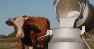 UHPLC-HRMS/MS Probes Alcohol-positive Milk 
