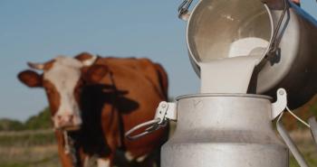 UHPLC-HRMS/MS Probes Alcohol-positive Milk 