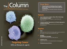 The Column-01-15-2013