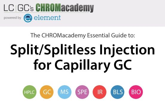 Split/Splitless Injection for Capillary GC | LCGC International