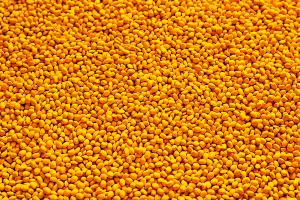 Tips & Tricks GPC/SEC: Alternatives to Narrow Standard Calibration in GPC/SEC