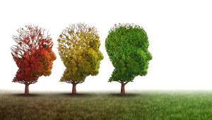 Differentiating Frontotemporal Dementia Through Metabolomics