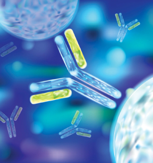 Image Credit: © sakurra - stock.adobe.com