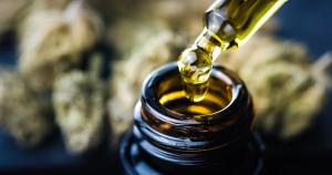 CBD Hemp oil, Hand holding droplet of Cannabis oil against Marijuana buds. Alternative Medicine | Image Credit: © 24K-Production - stock.adobe.com