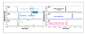  Slalom Chromatography (Part 2): A Novel Technique to Separate Large Nucleic Acids
