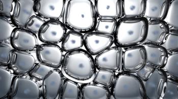 Cell Cross Section | Image Credit: © alswart - stock.adobe.com