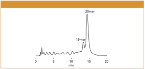 Shodex - Oligonucleotide Analysis Using a Polymer-Based Diol Column