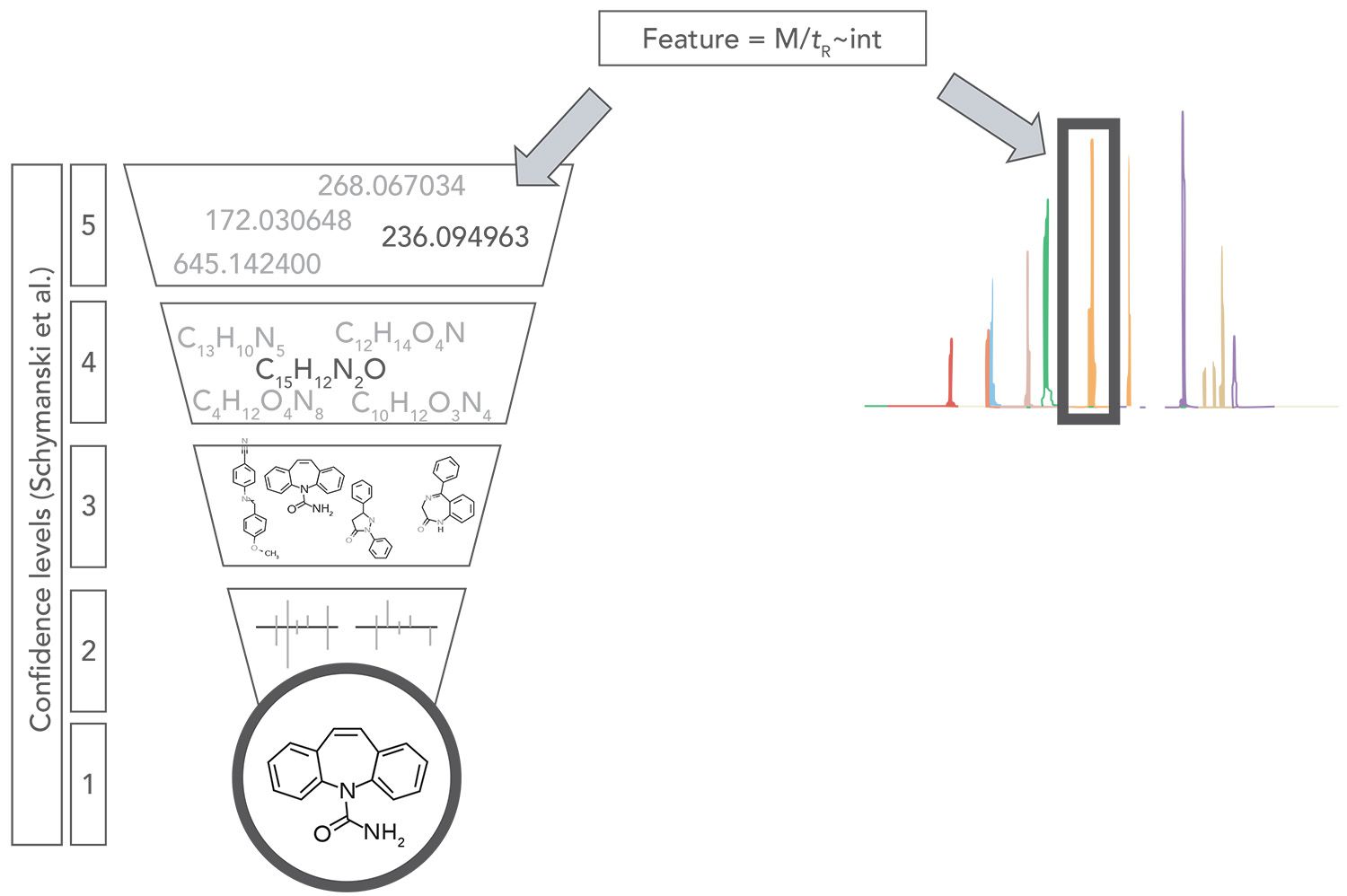 fig1L-New-1591378648002.jpg