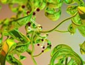 Analysis of Peptide Mixtures for Proteomics Research Using LC–ESI-MS with a Simple Microgradient Device