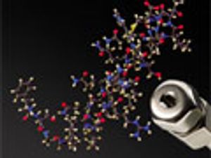 Inaccuracies in Quantification of Peptides – A Case Study Using Beta Endorphin Assay