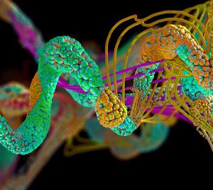 Nonlinear Predictive Modelling Enables In Silico Optimization of Chromatographic Methods for Complex Stationary Phase‑Analyte Interactions