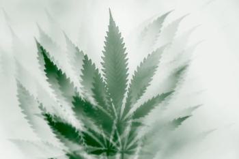 Trippy and psychedelic cannabis leaf. Hallucinations caused by cannabis or marijuana. Weird and wild cannabis background. The use of drugs to alter your mind. | Image Credit: © Jeremy Pawlowski - stock.adobe.com