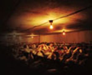 Back-tracing Poultry Meat Chain Exposure to Rapidly Metabolized Pollutants Using Volatile Compound Metabolic Signatures in Liver Tissues