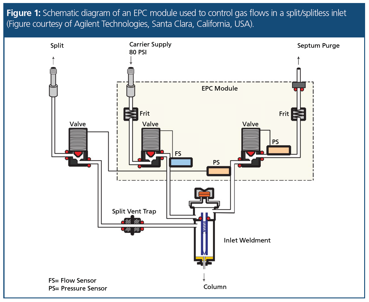 Electronic Flow and Pressure Control in Gas Chromatography: Opening the ...