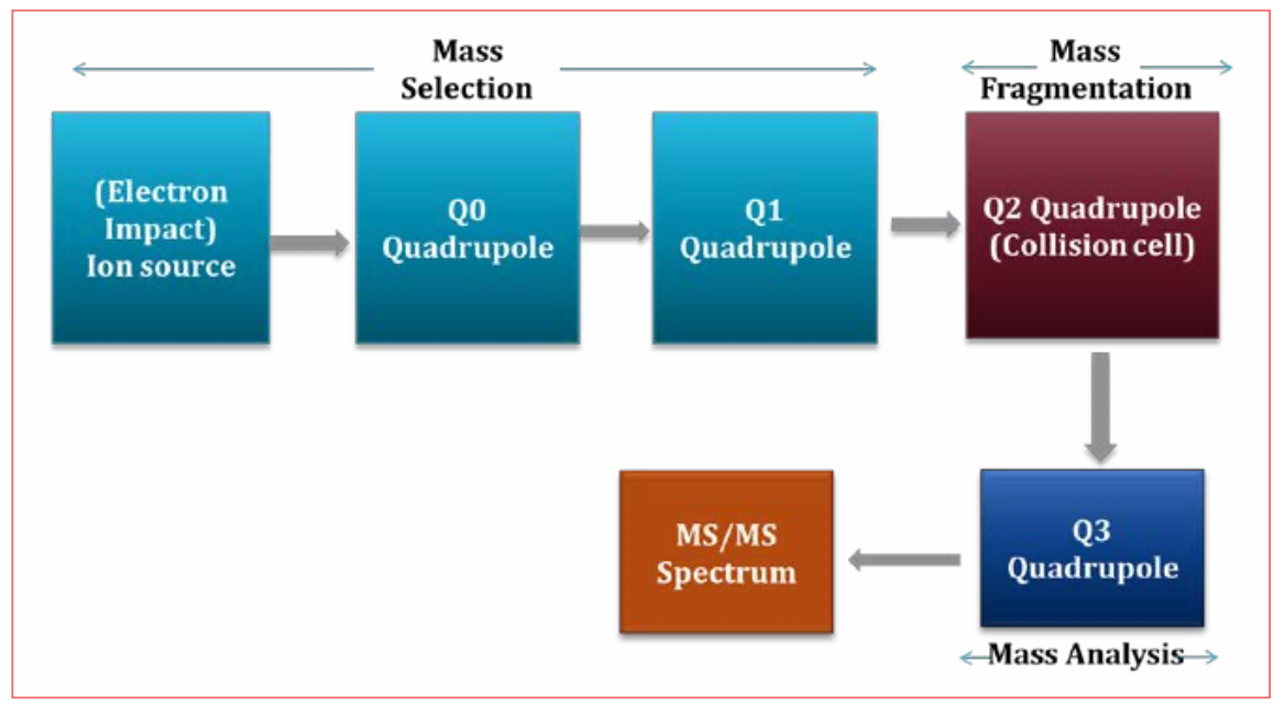 FIGURE 1: Schematic of a triple quadrupole mass spectrometer.