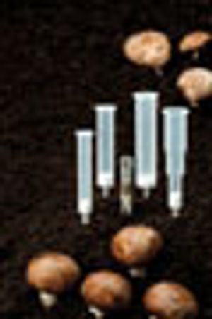 Analysis of Psilocybin and Psilocin in Urine Using SPE and LC-Tandem Mass Spectrometry
