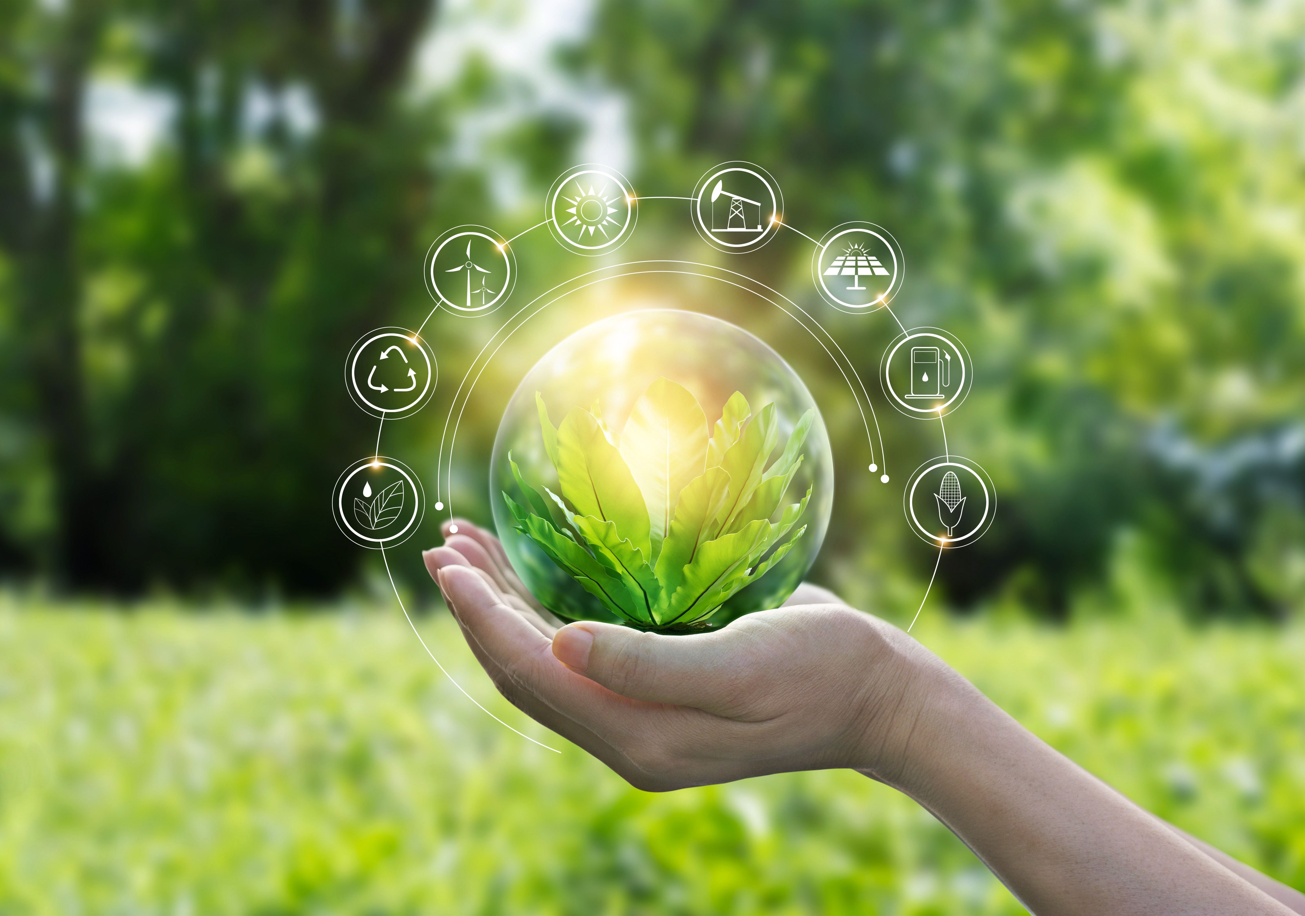 Hands protecting globe of green tree on tropical nature summer background, Ecology and Environment concept | Image Credit: © ipopba - stock.adobe.com.