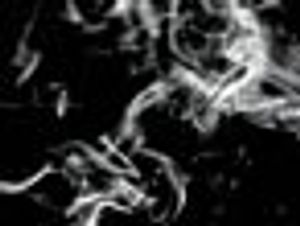 An Improved GC–MS Method for Cigarette Smoke Characterization Using a Novel Cold Trap, Dual Column, and Cryofocusing System