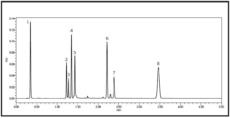 glp 1 shots tirzepatide Microdose GLP-1 (Tirzepatide) – BloomMD glp 1 shots tirzepatide Microdose GLP-1 (Tirzepatide) – BloomMD