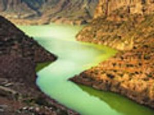 Determination of Seven Sodium Alkyl Sulphates in Environmental Water by Ion-pair Chromatography with Suppressed Conductivity Detection