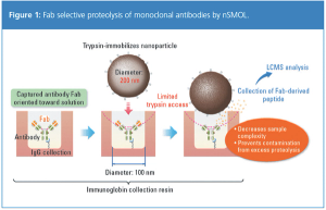 figure 1 L1512581541022.png