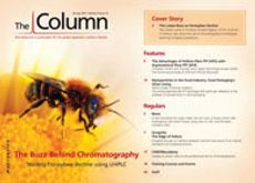 The Column-07-26-2013