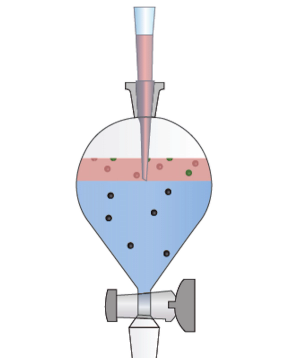 The (Mis)education of an Analyst